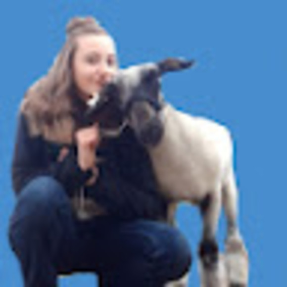 Meet your Posher, Claire - Picture 1 of 1